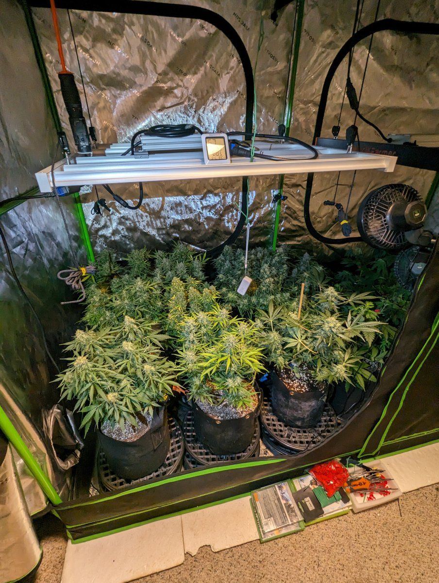 PXL 20240508 081005666