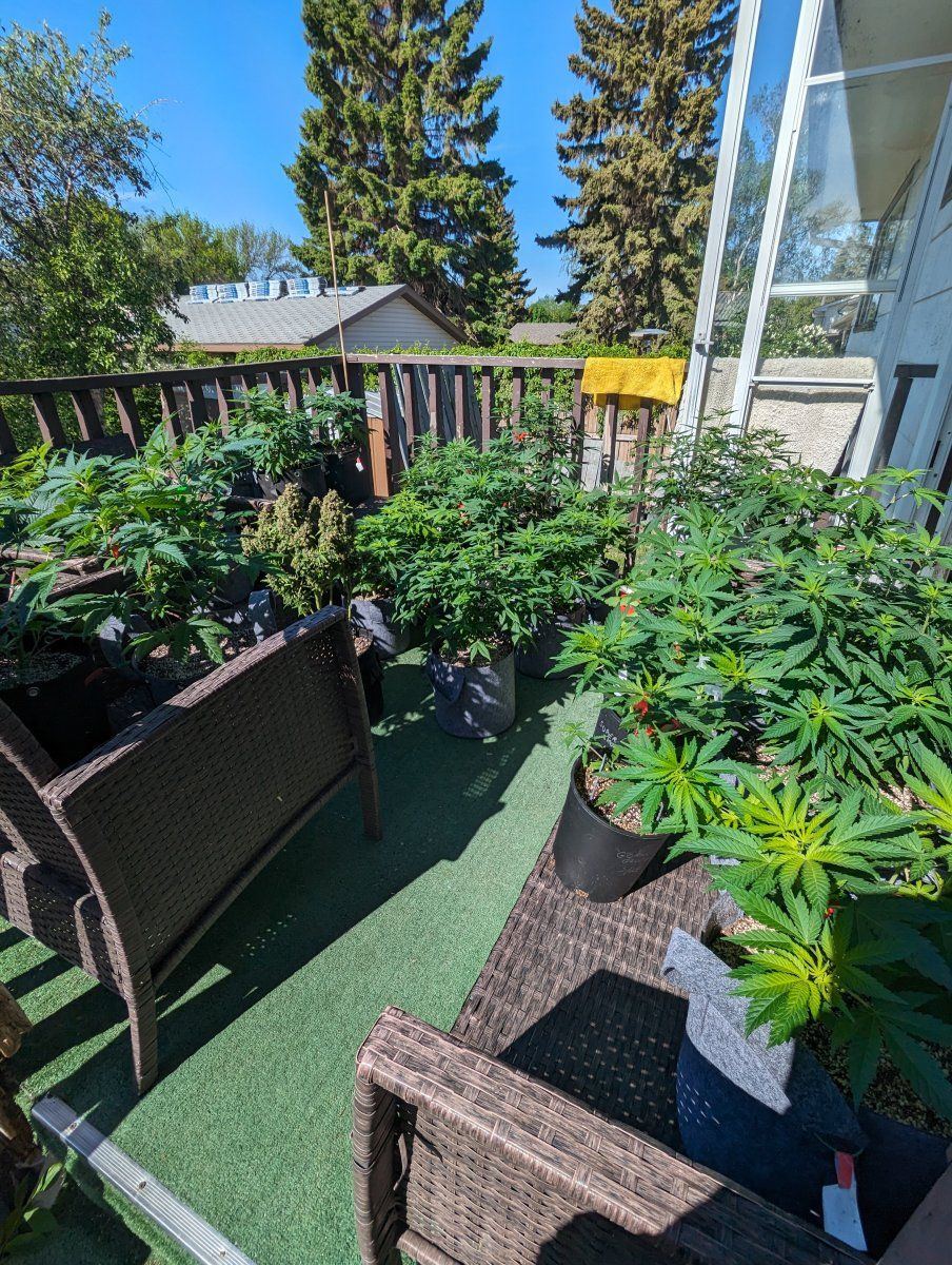PXL 20240531 154403554