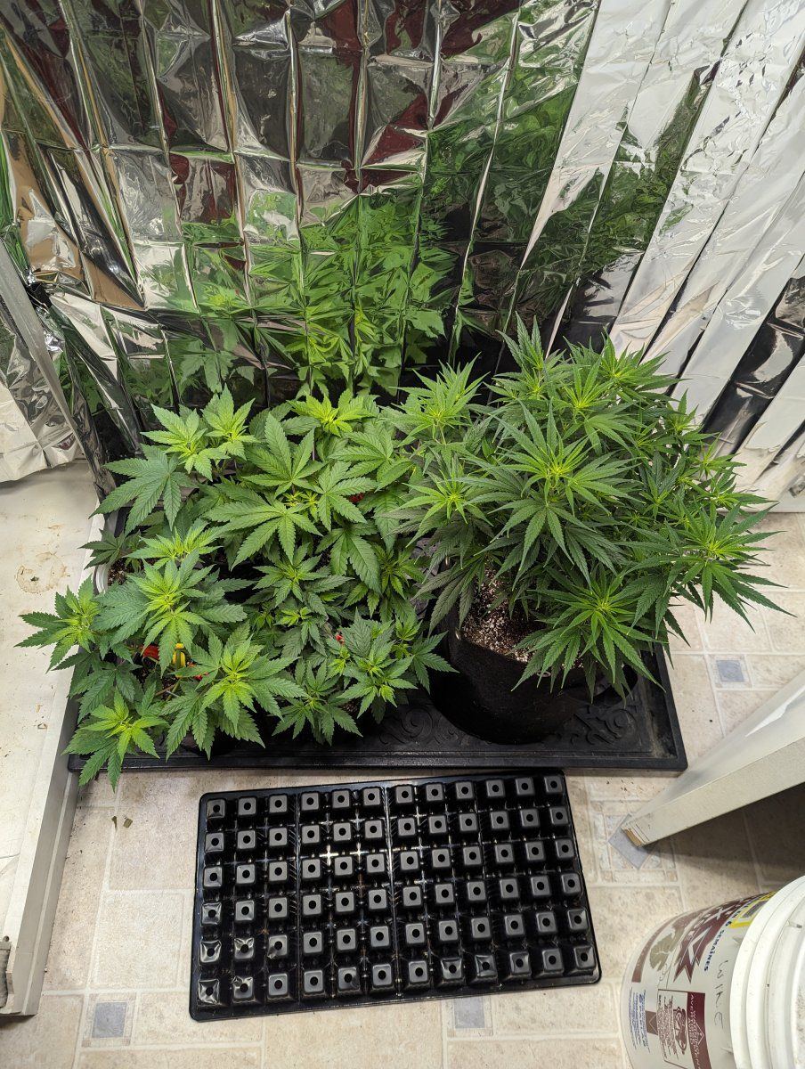 PXL 20240531 160053768