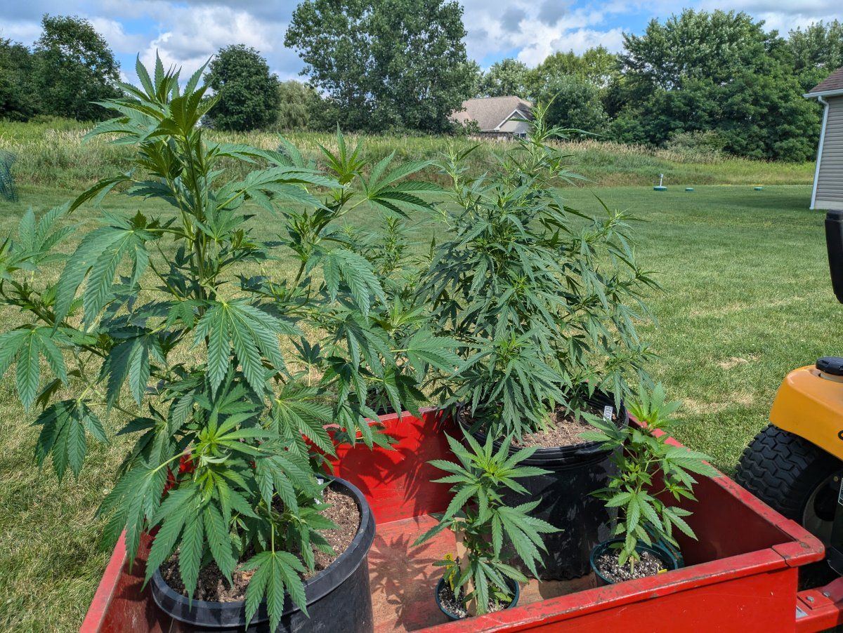 PXL 20240711 203934712