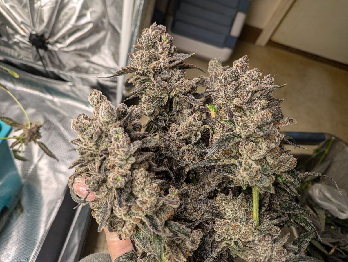 PXL 20240724 212747500