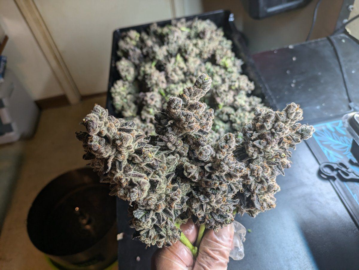 PXL 20240724 225806686