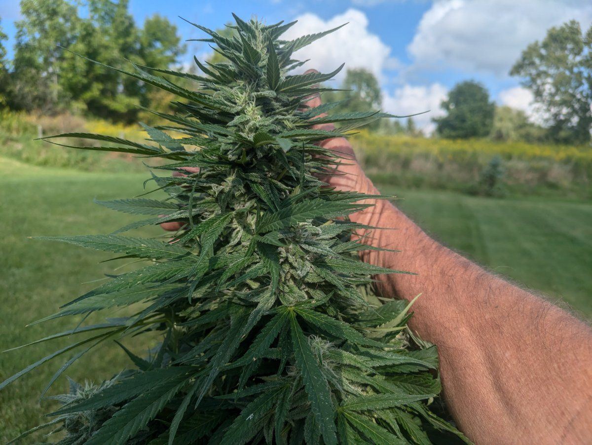 PXL 20240829 205410872