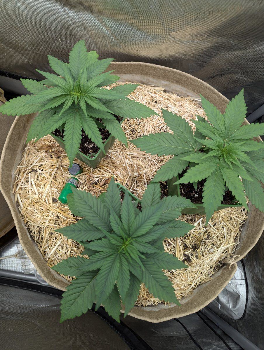 PXL 20240913 232606488