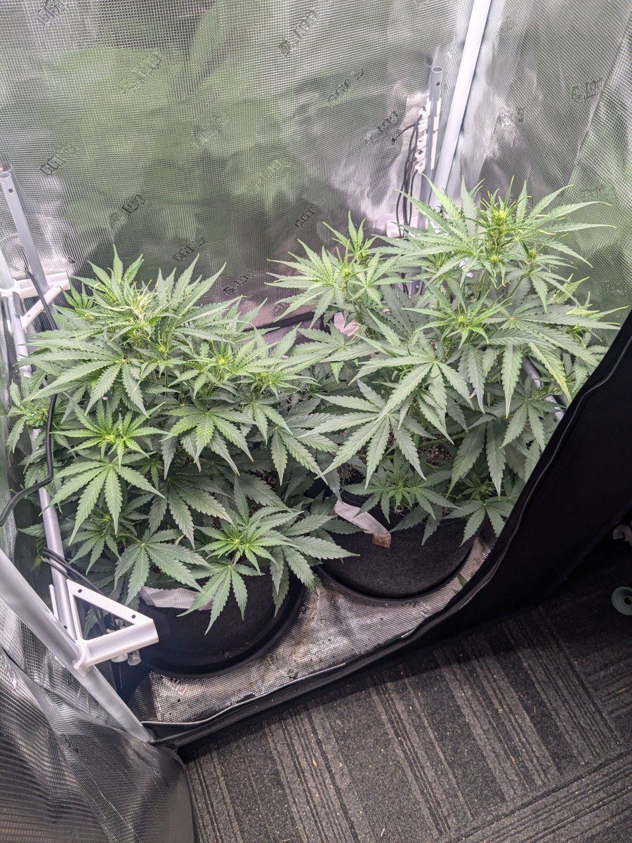 PXL 20240922 152406207