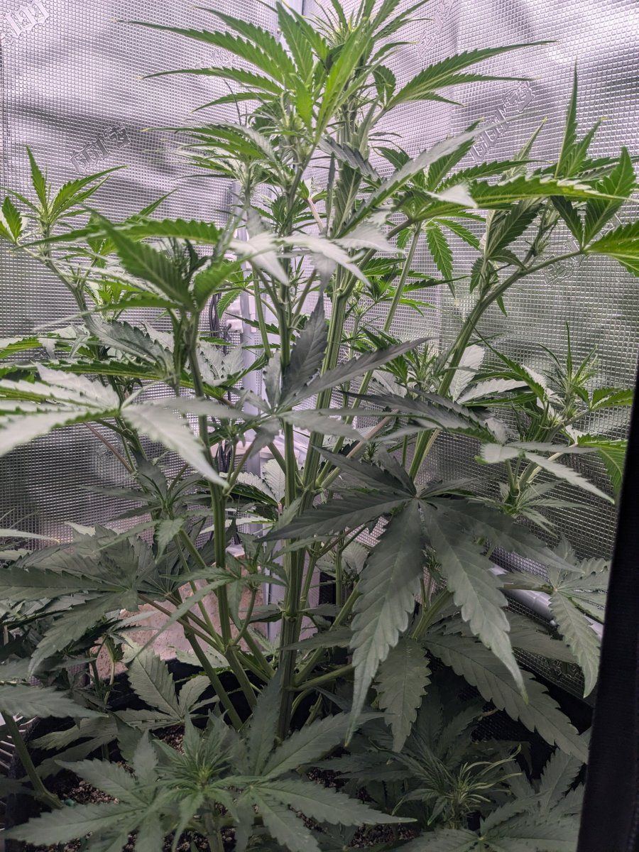 PXL 20240922 152426645