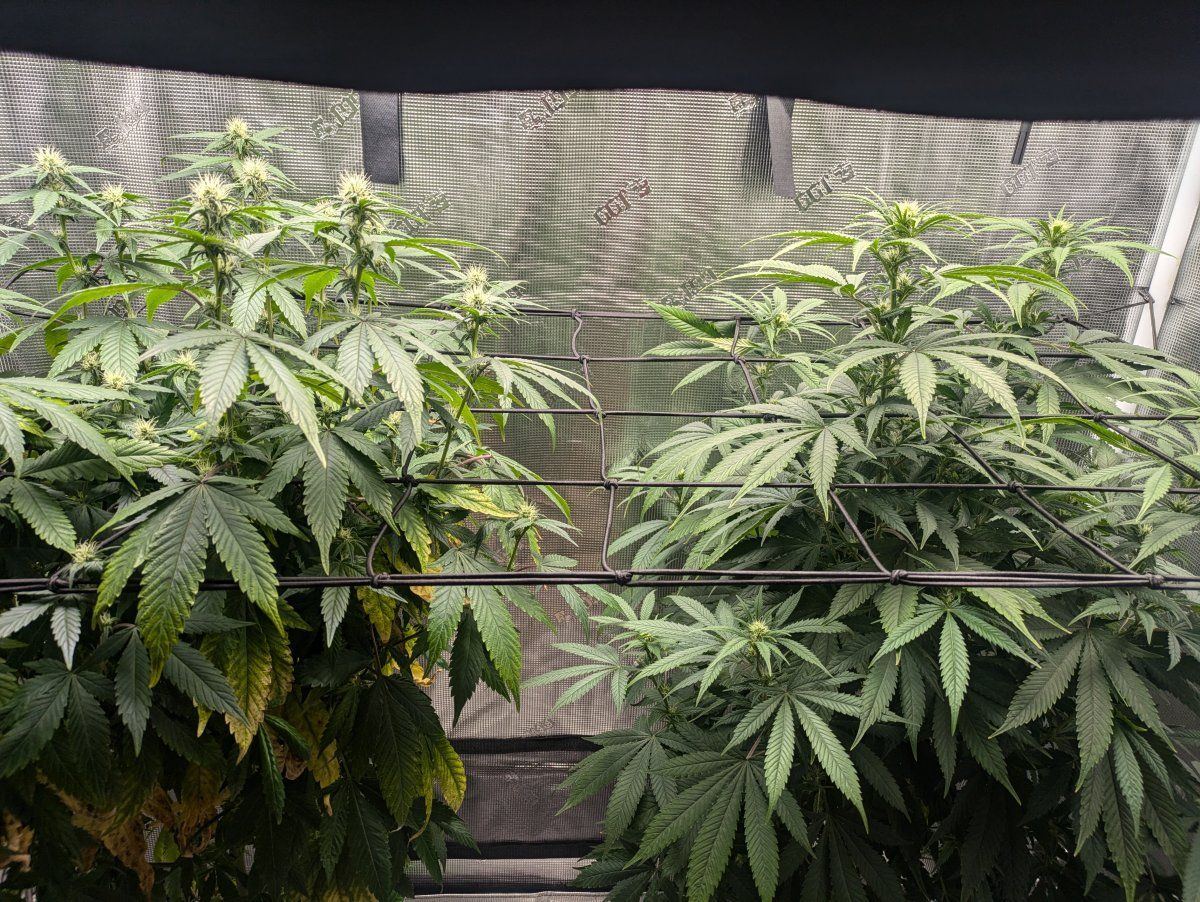 PXL 20240924 105945100