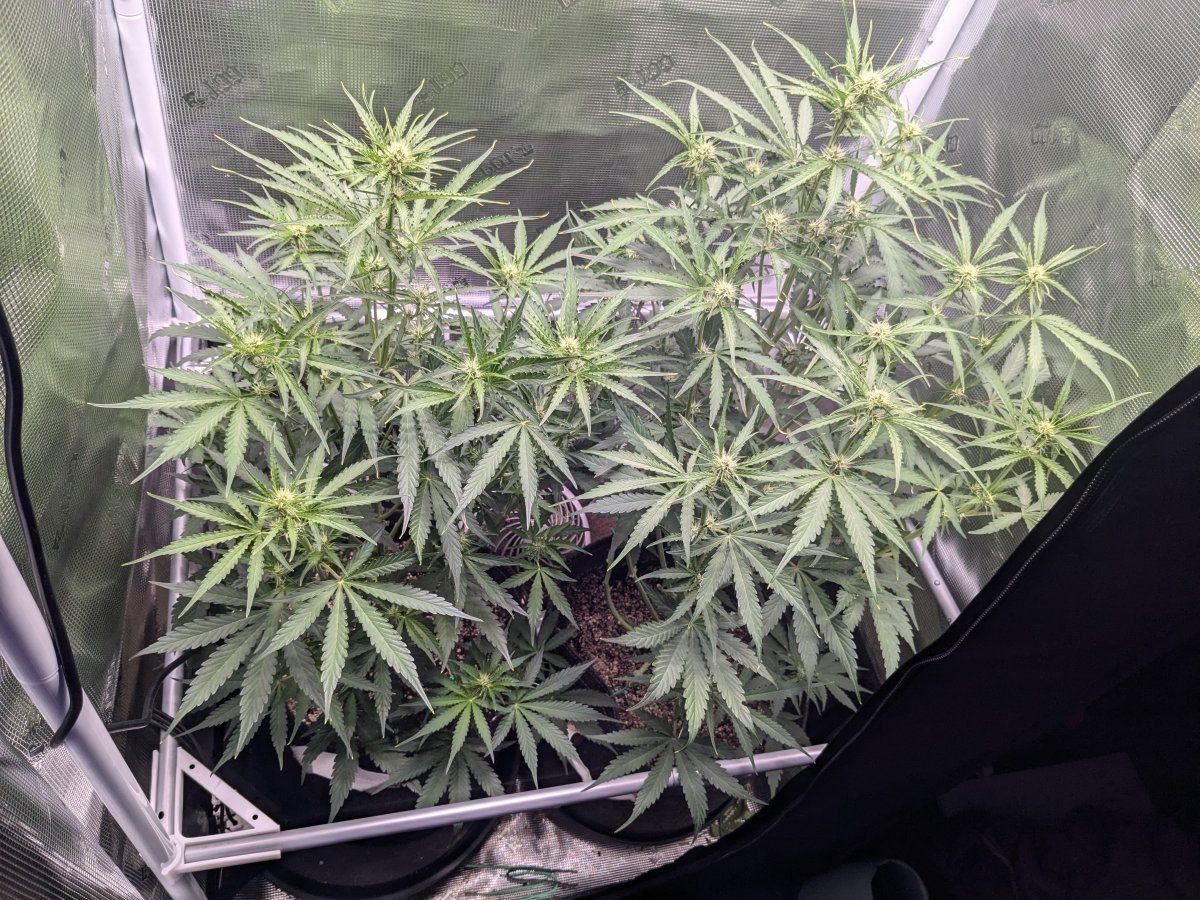 PXL 20240926 231809350