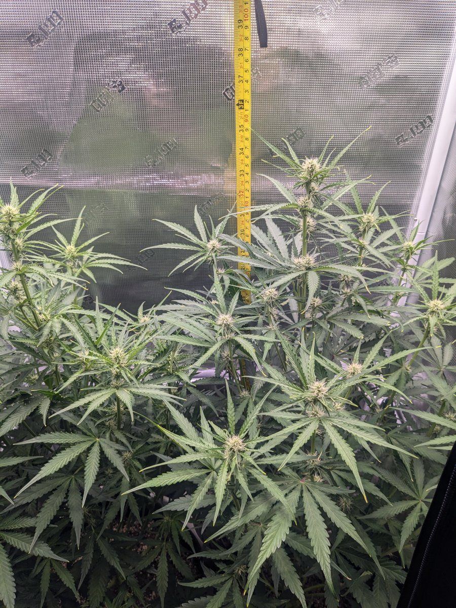 PXL 20240928 105046089