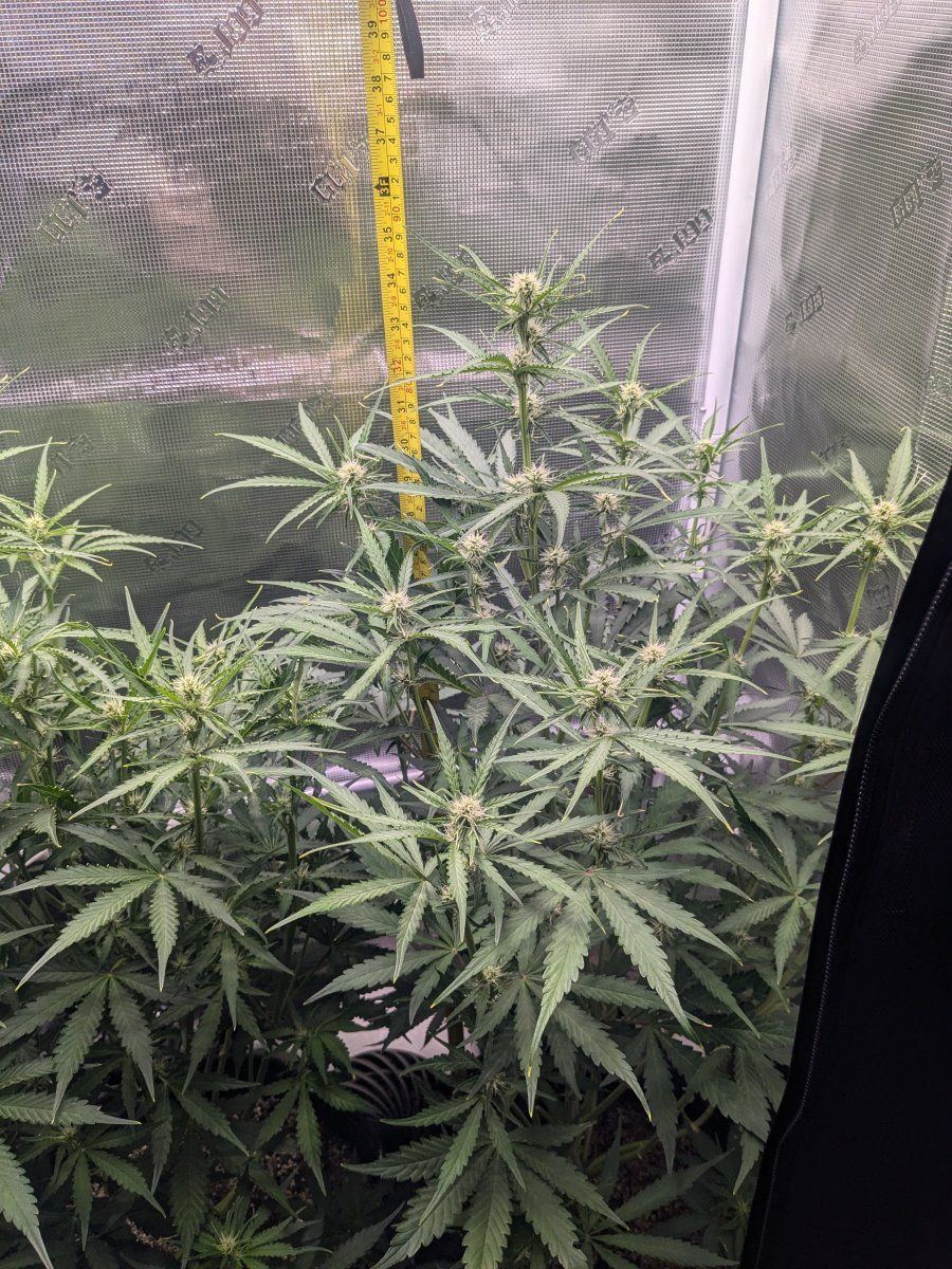 PXL 20240928 105053051