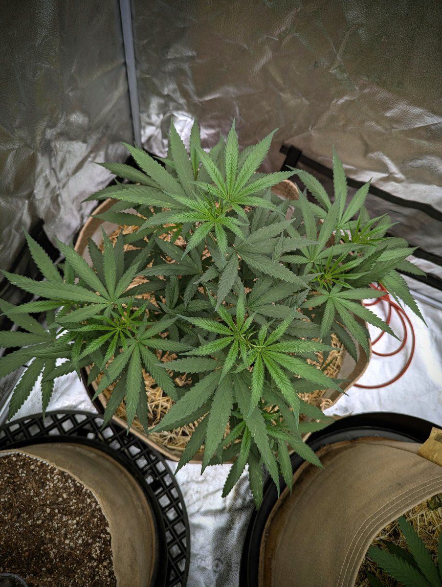 PXL 20241004 041939895