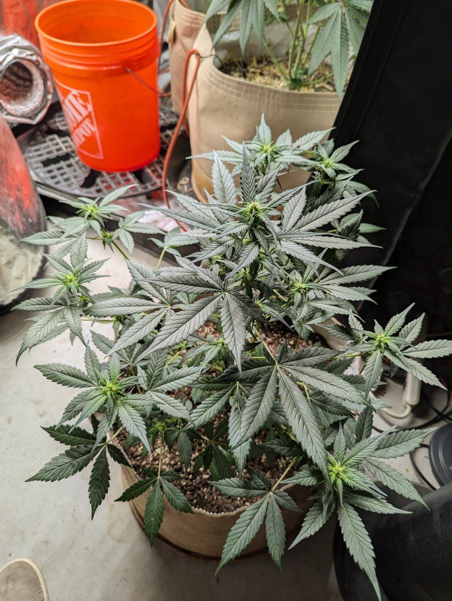 PXL 20241107 023223576