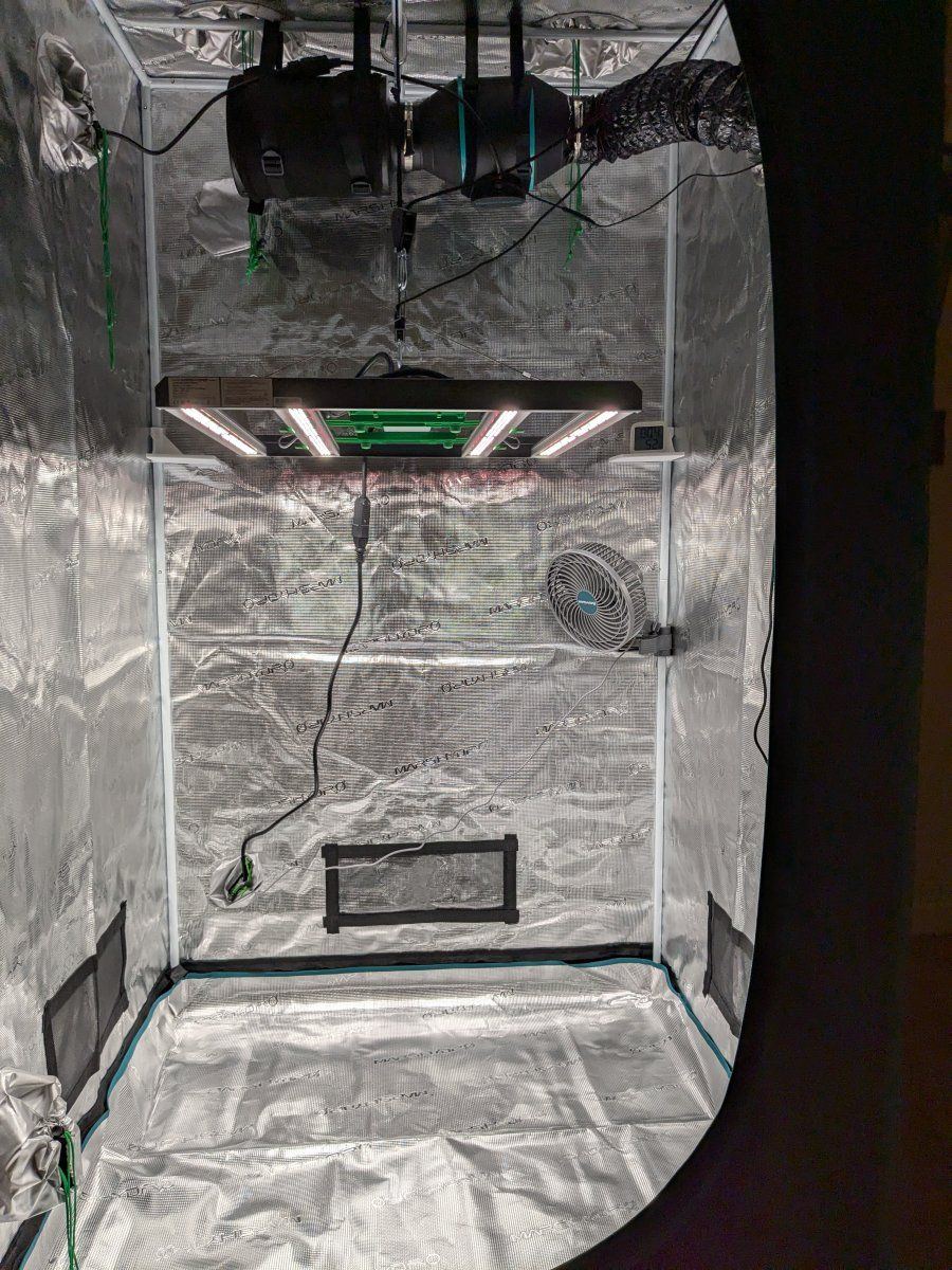 PXL 20241107 044923716