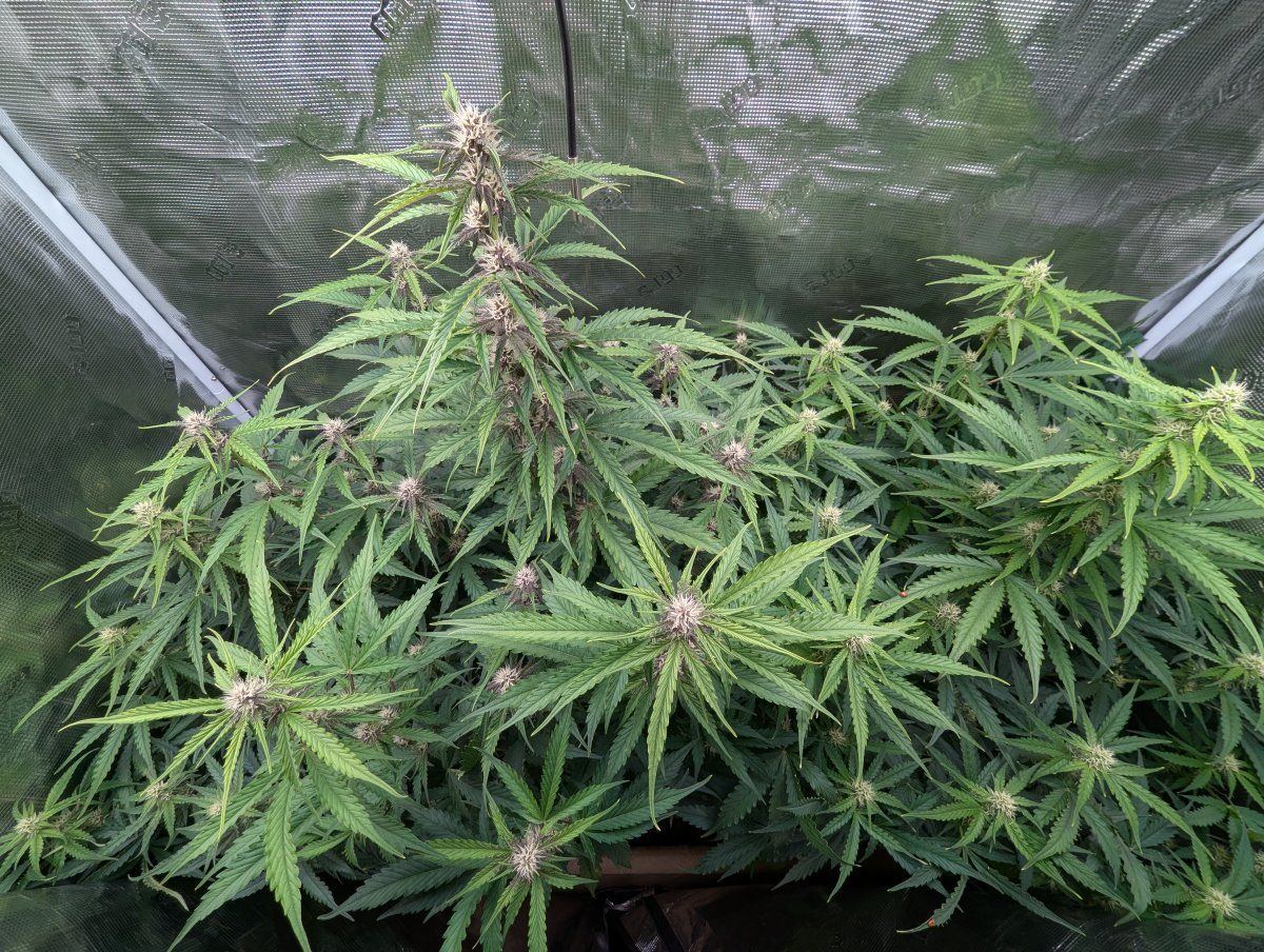 PXL 20241117 050419892