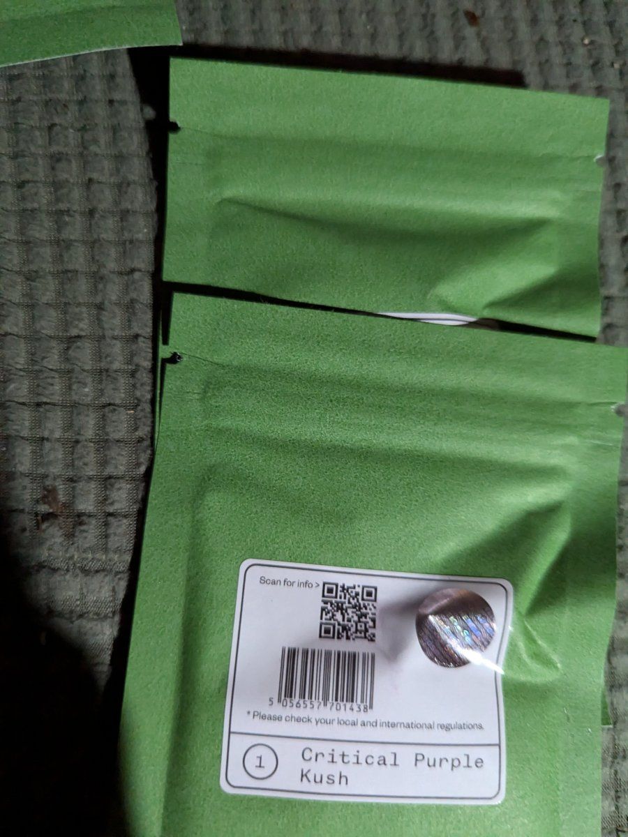 PXL 20241204 165224775MP