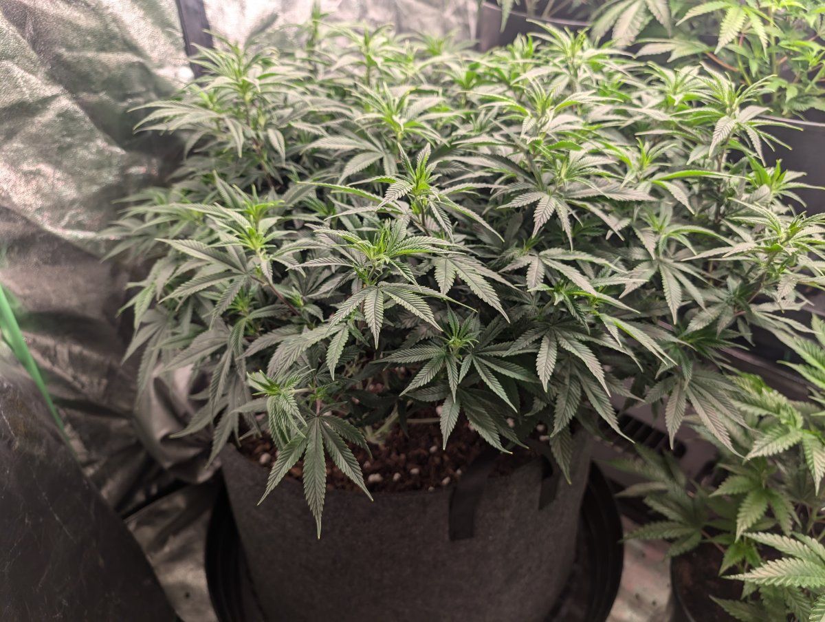 PXL 20250104 163631785