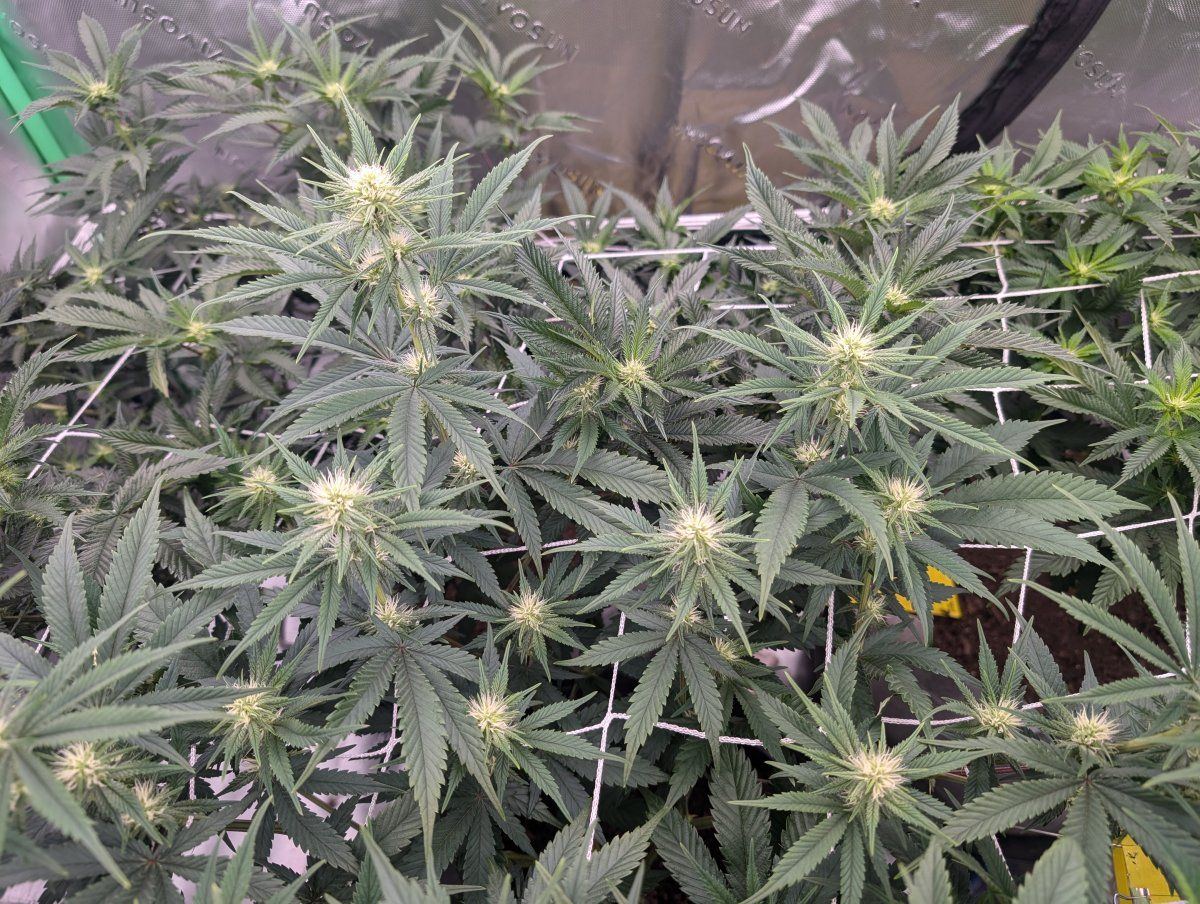 PXL 20250104 182317101