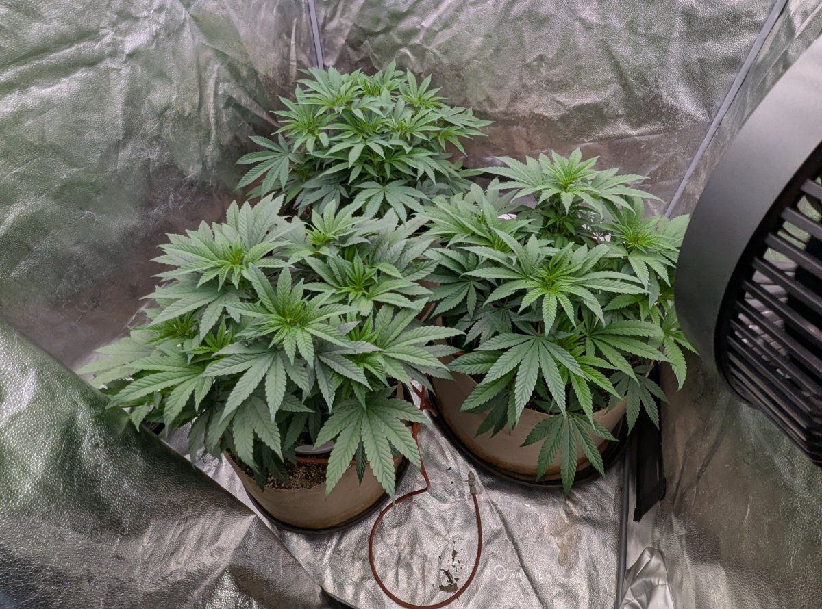 PXL 20250117 144657570