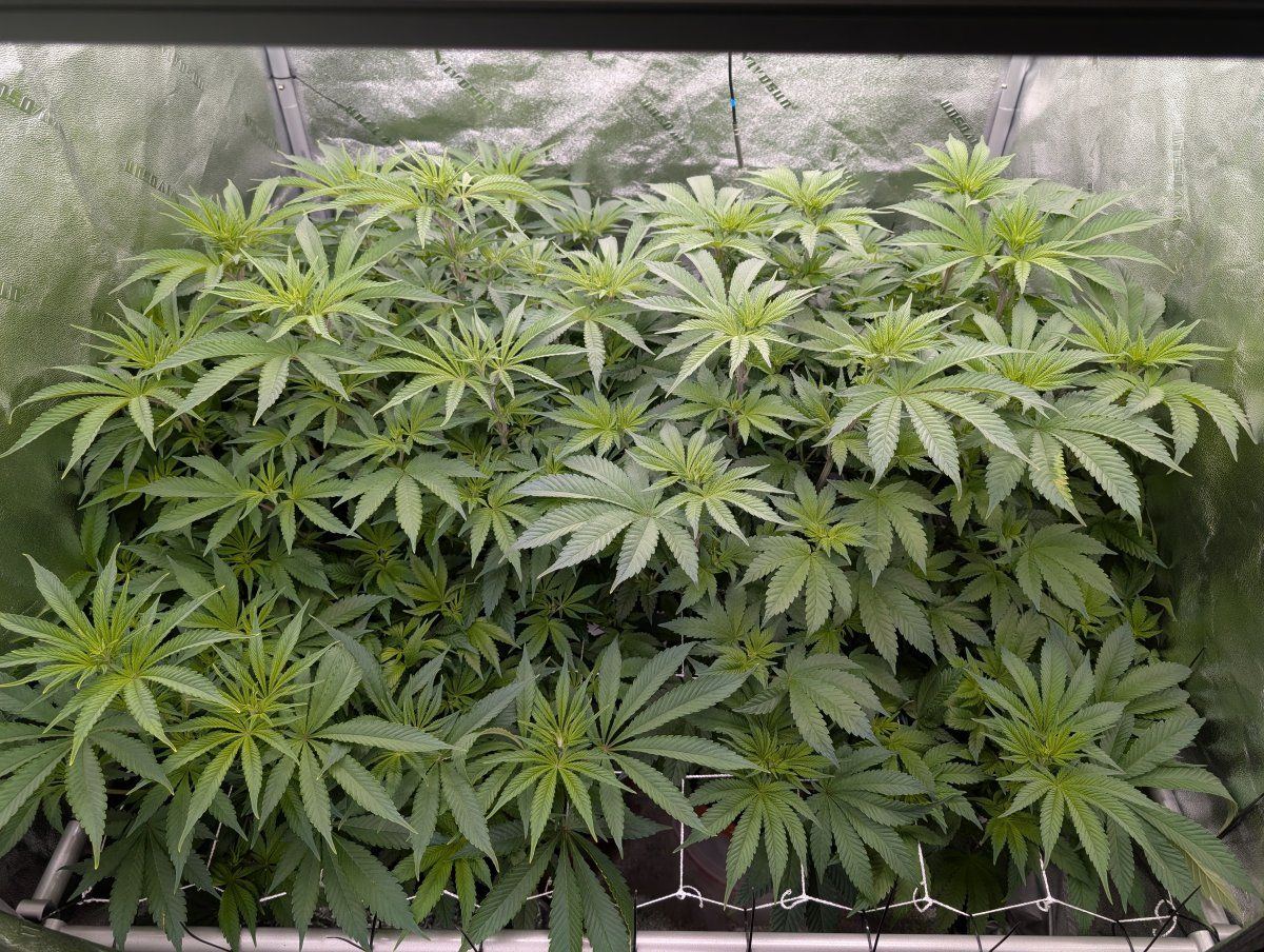 PXL 20250125 135449957