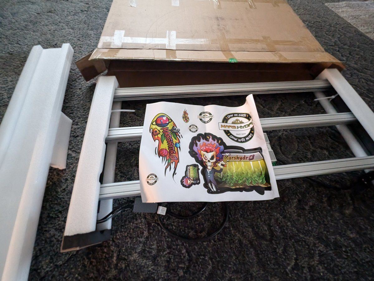 PXL 20250125 213903673