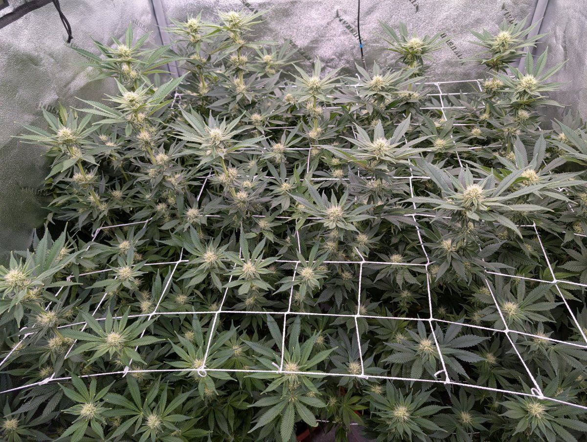PXL 20250208 191024683
