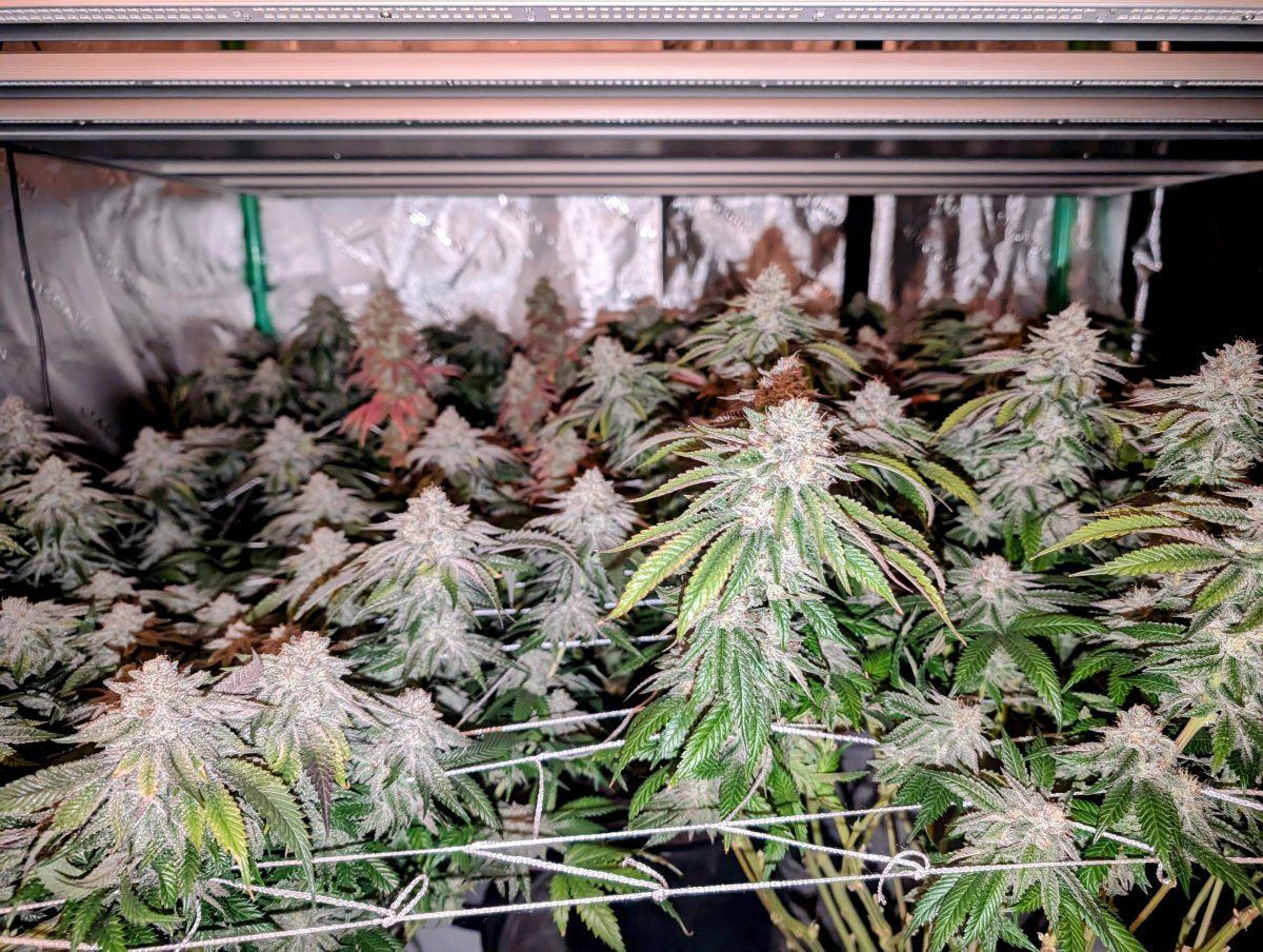 PXL 20250212 0302442712