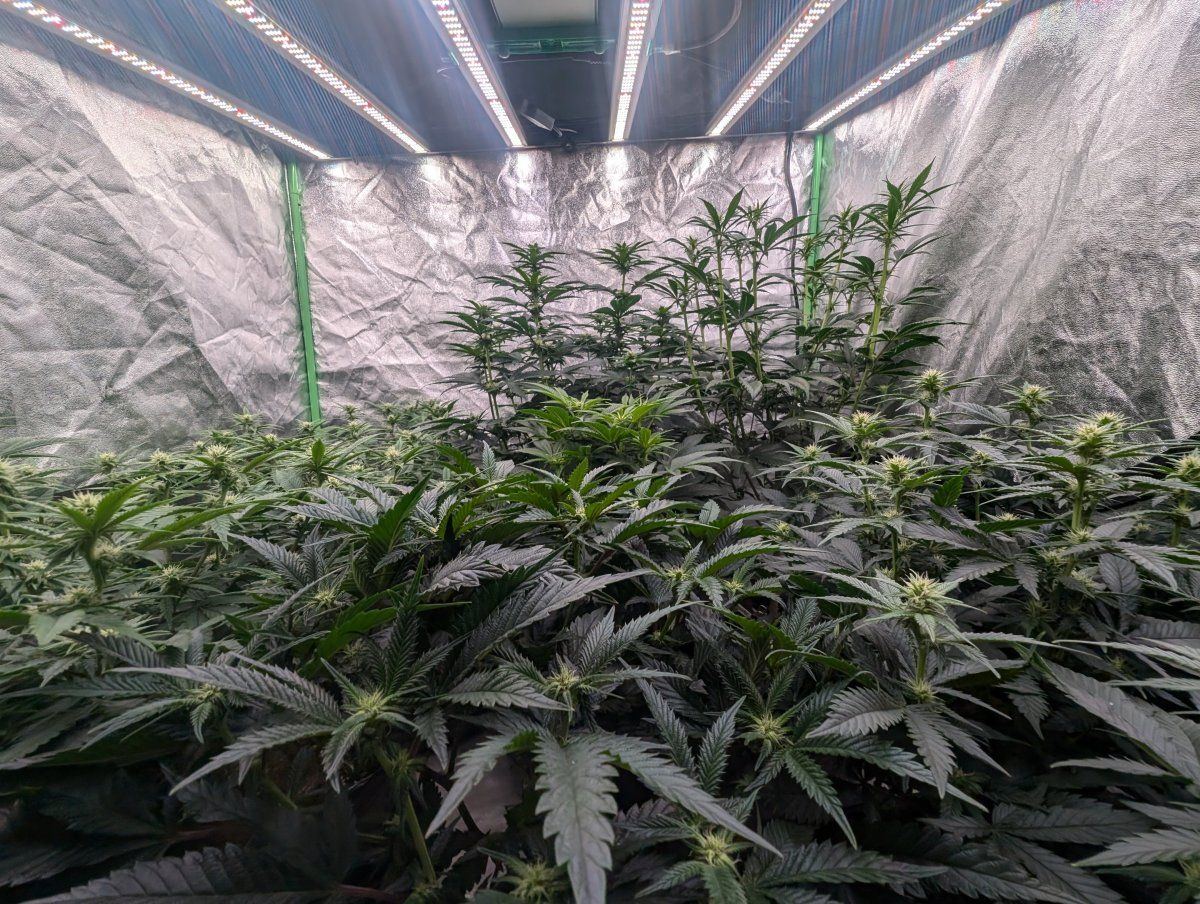 PXL 20250415 200421761
