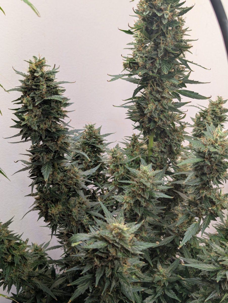 PXL 20250514 004647323