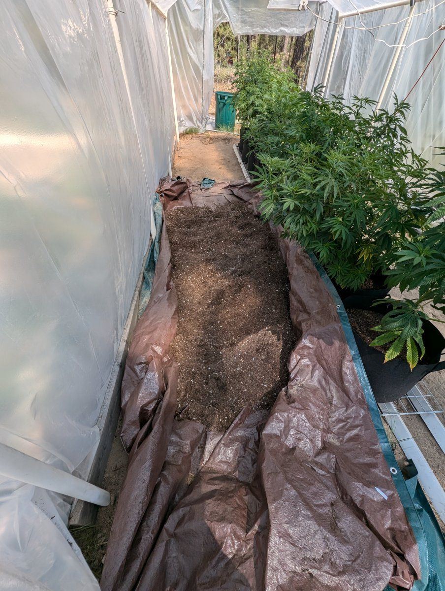 PXL 20250606 175409368