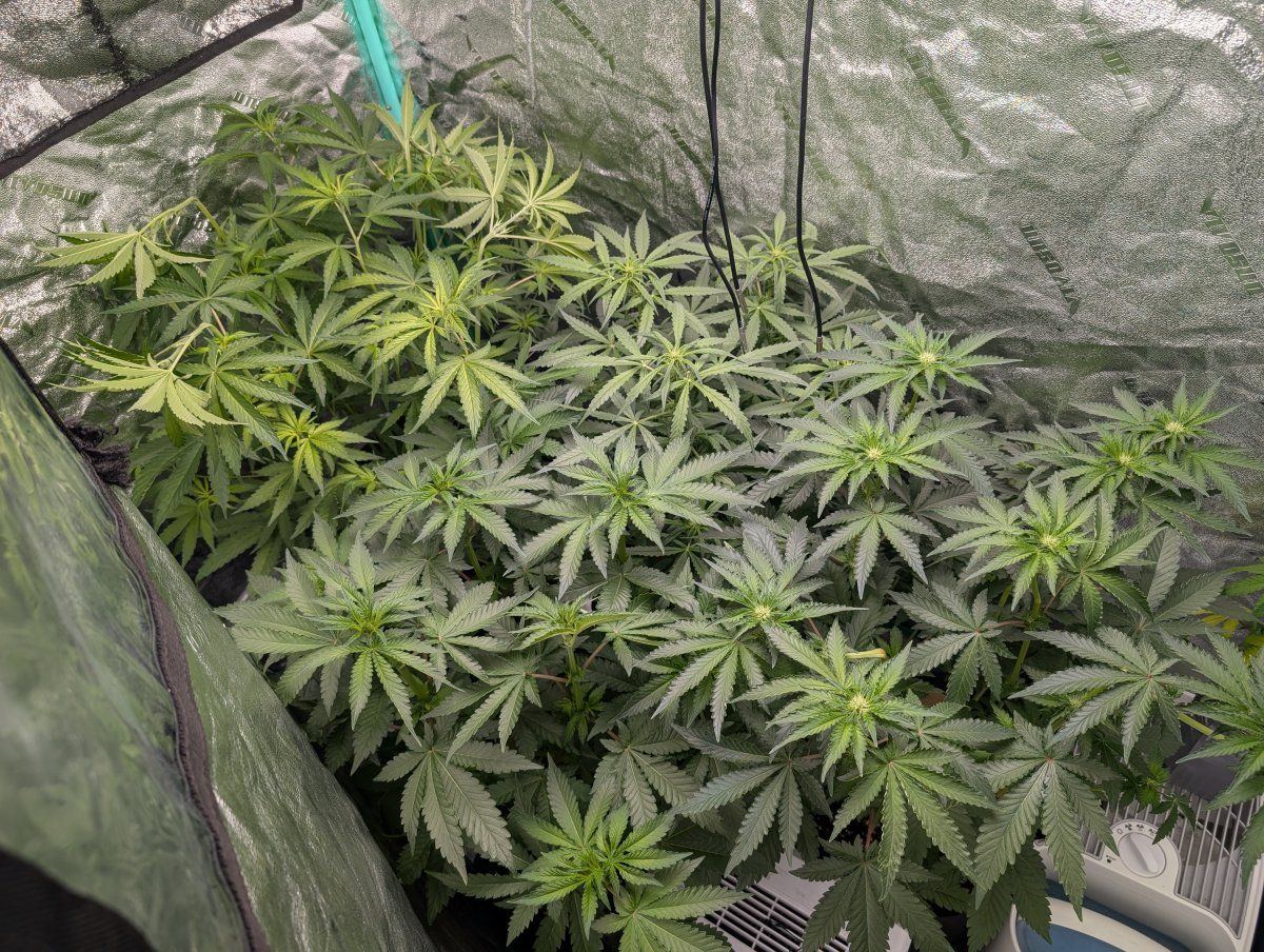PXL 20250628 112735681