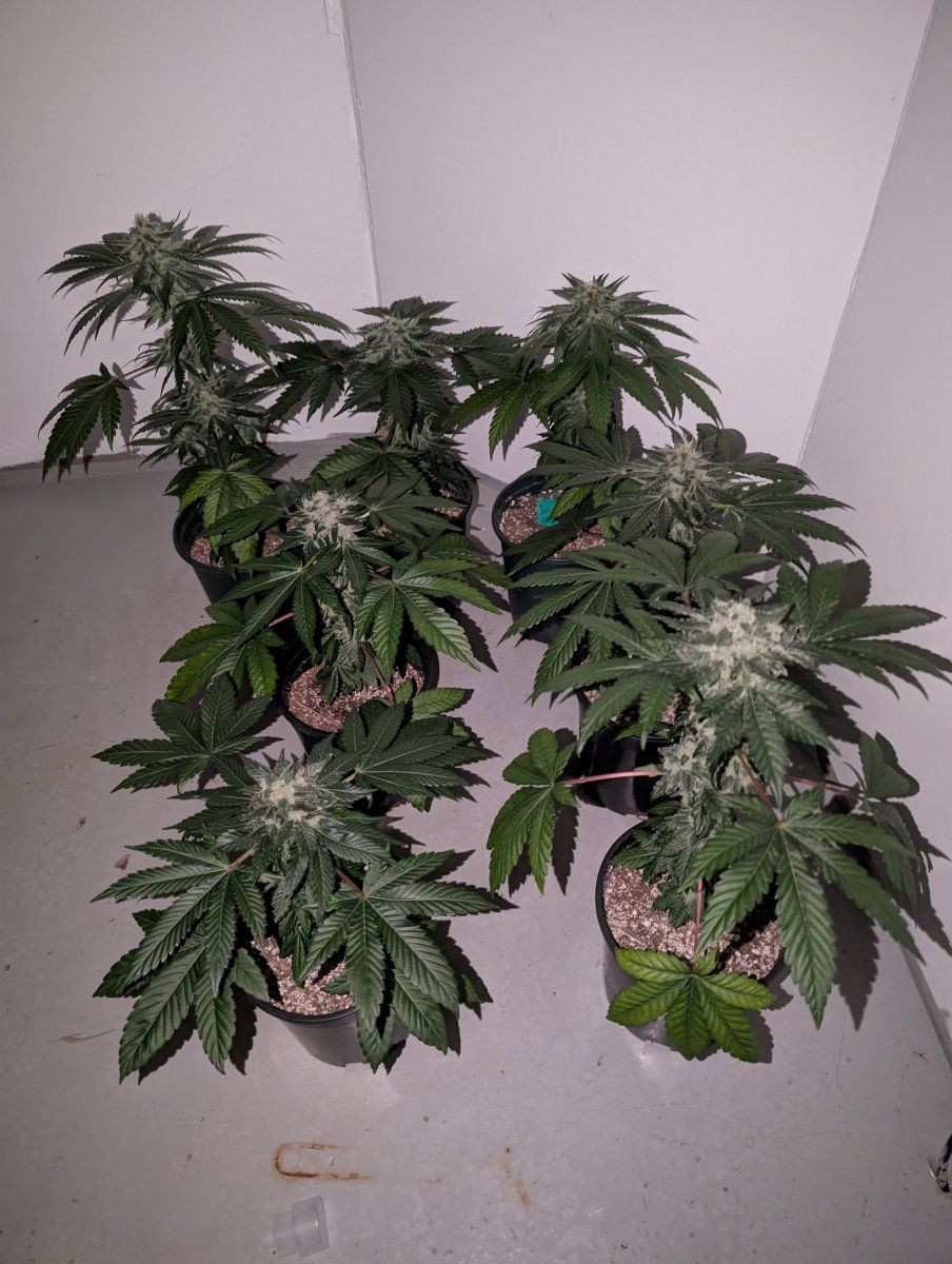 PXL 20250630 233100504