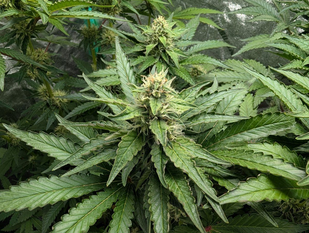 PXL 20250716 000113335