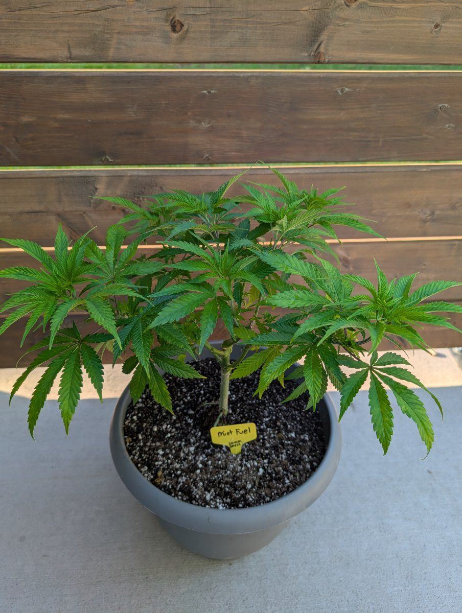 PXL 20250723 121404399