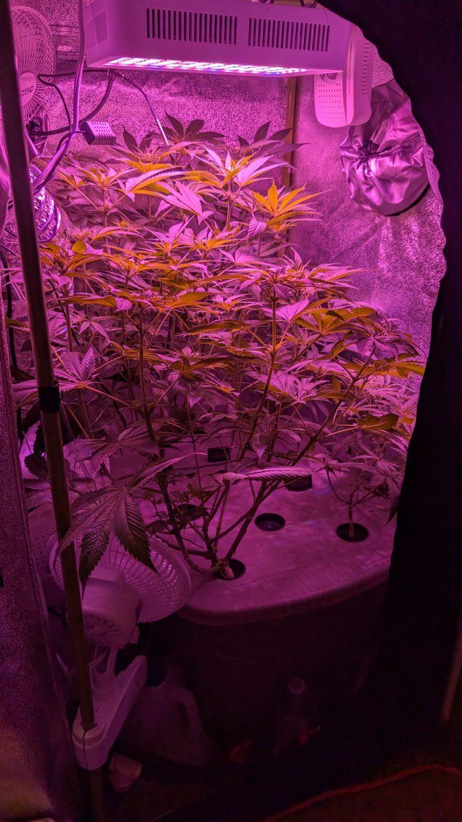 PXL 20250807 023634197