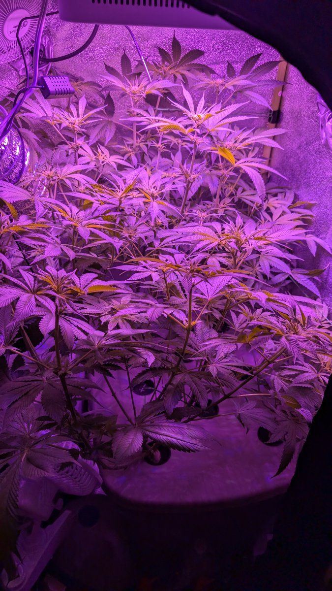 PXL 20250807 030732298