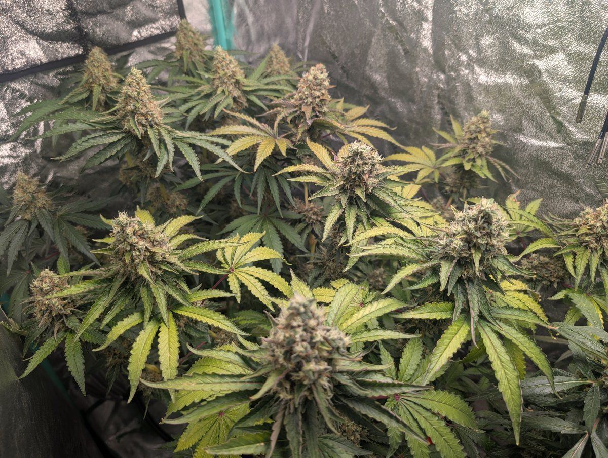 PXL 20250807 104005814