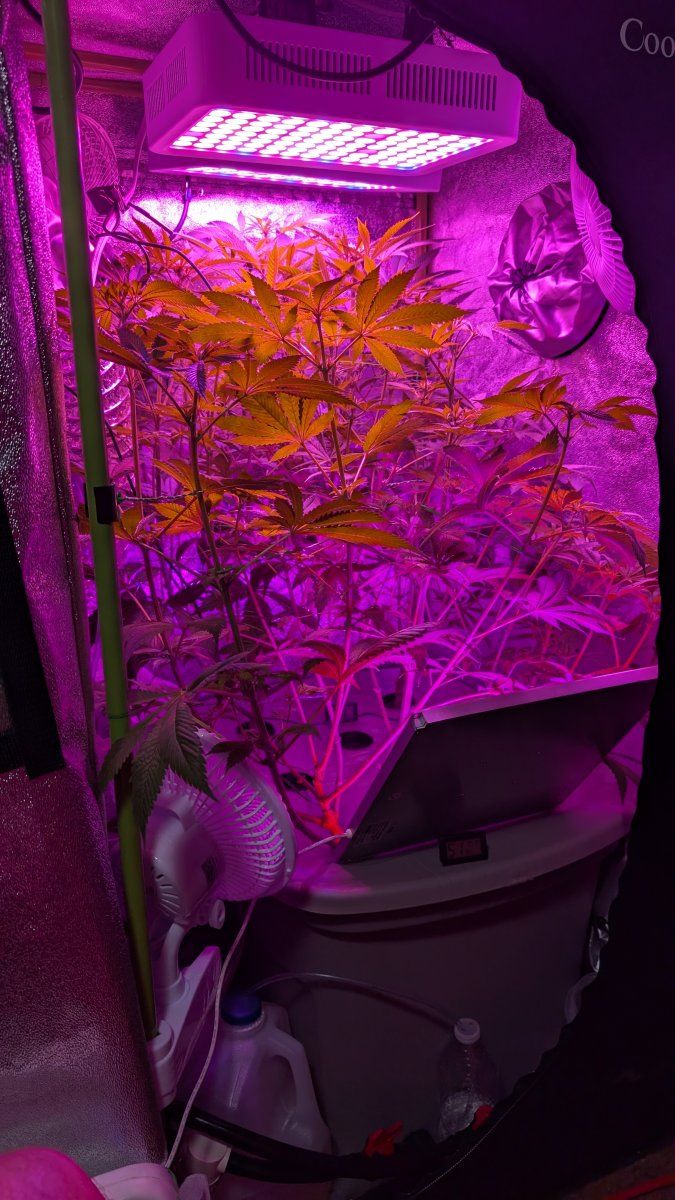PXL 20250810 030049573