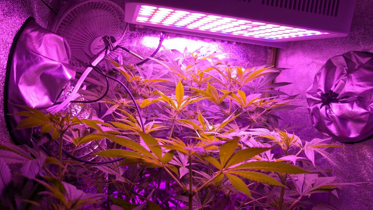 PXL 20250810 030104685