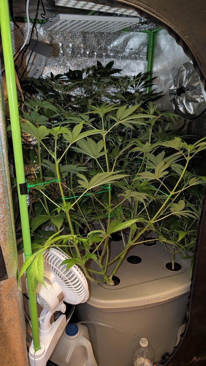 PXL 20250810 142010657