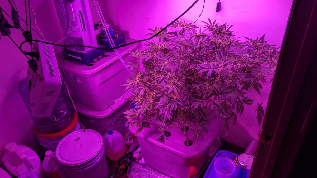 PXL 20250813 064505572