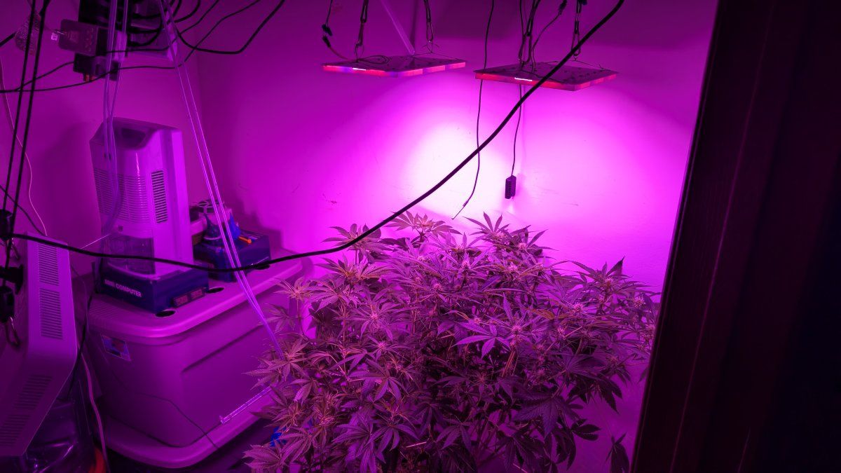 PXL 20250813 064510774