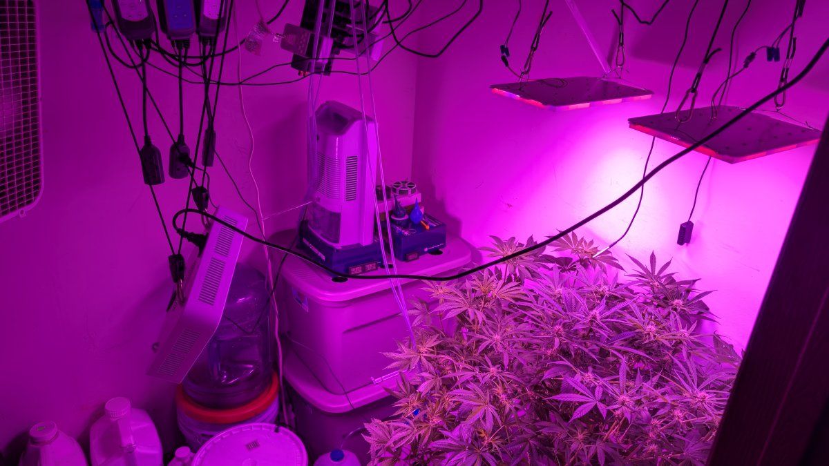 PXL 20250813 064516012