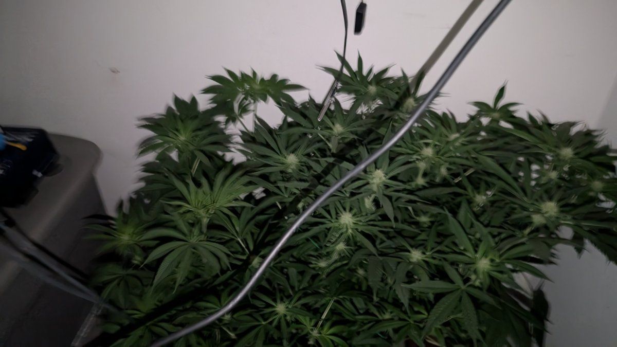 PXL 20250813 070121705