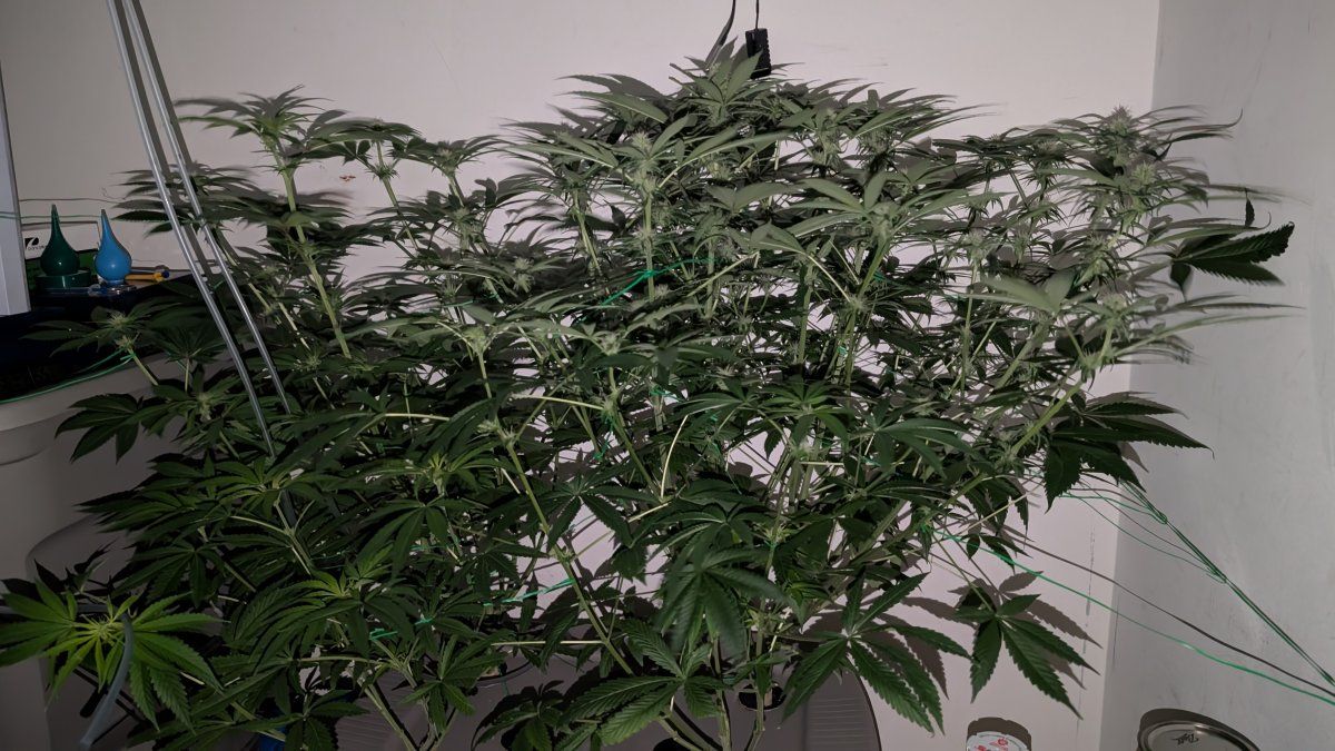 PXL 20250816 015726939