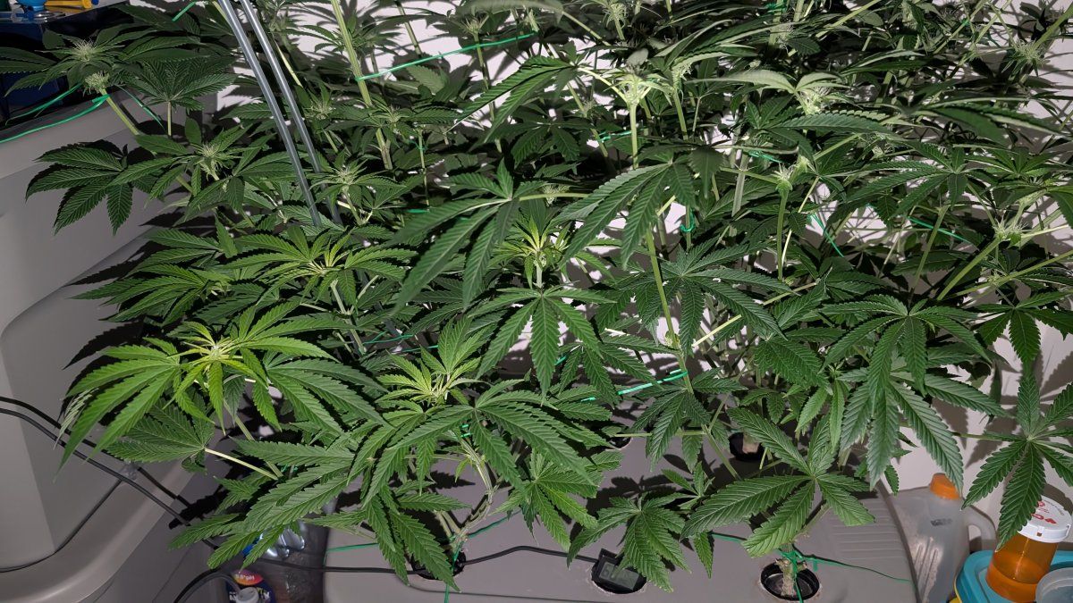 PXL 20250816 015828990