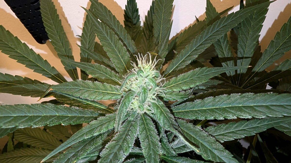 PXL 20250820 140054488