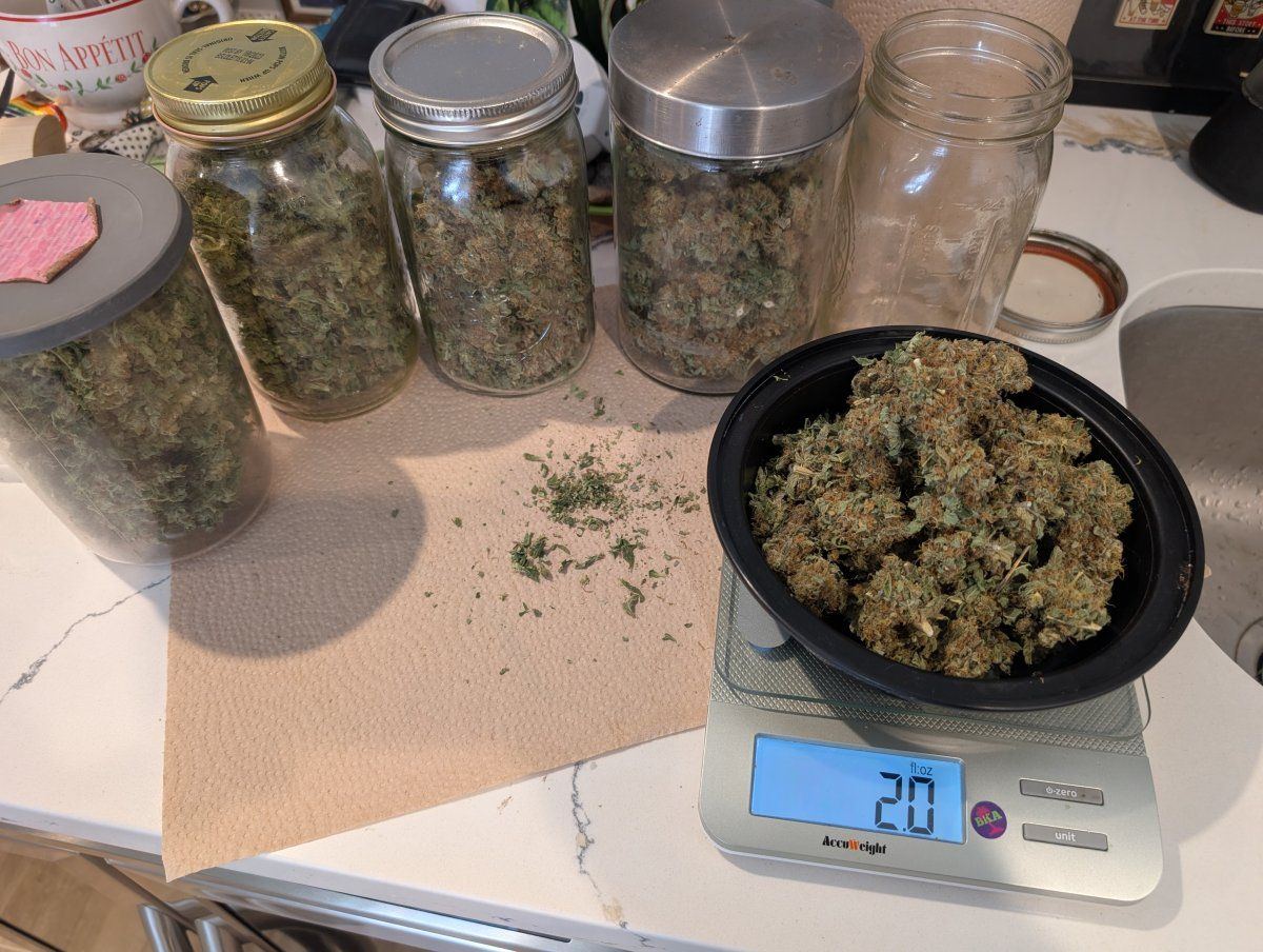 PXL 20250827 154607782