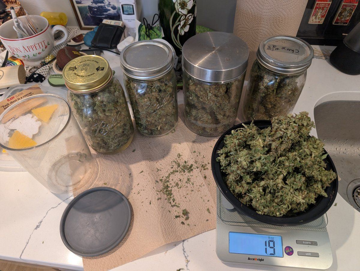 PXL 20250827 155455877