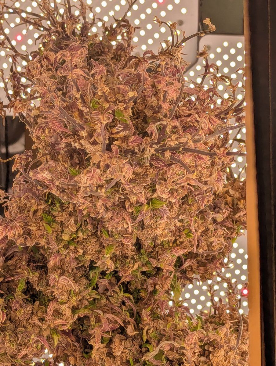 PXL 20250830 123547105