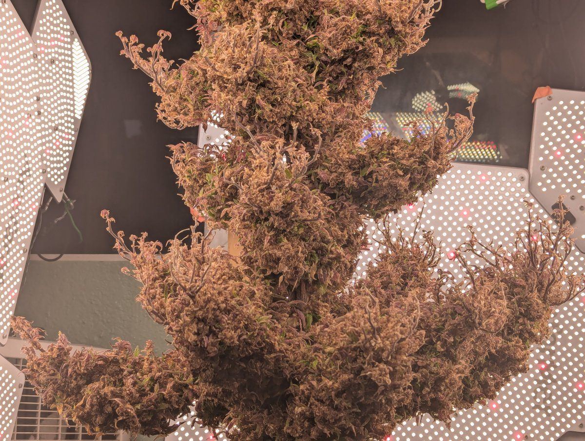 PXL 20250831 140855413